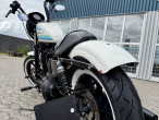 2019 Harley-Davidson XL1200NS Iron