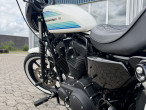 2019 Harley-Davidson XL1200NS Iron
