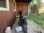 2019 Harley-Davidson XL1200NS Iron