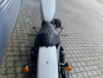 2019 Harley-Davidson XL1200NS Iron