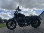 2019 Harley-Davidson XL883N Iron 883 2019 Harley-Davidson XL883N Iron 883