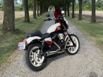 2019 Harley-Davidson XL883N Iron 883 2019 Harley-Davidson XL883N Iron 883