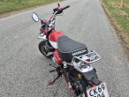 2019 Honda Monkey 125