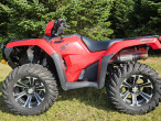 2019 Honda TRX 500 Rubicon
