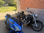2019 Suzuki GSXS 1000 F