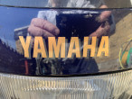 2019 Yamaha FJ 1200
