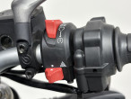 2020 Ducati Monster 821 Stealth