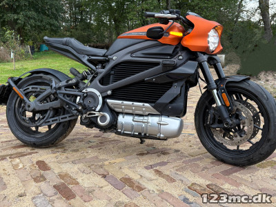 Harley-Davidson ELW Livewire