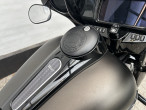 2020 Harley-Davidson FLHXS Street Glide Special