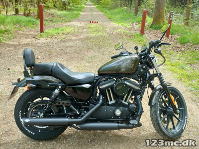 Harley-Davidson XL883N Iron 883