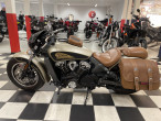 2020 Indian Scout