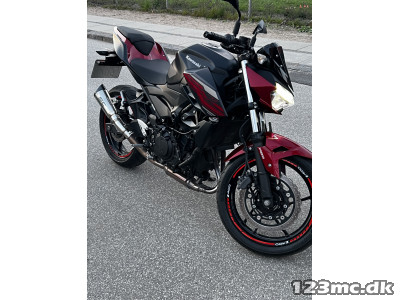 Kawasaki Z 400