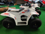 2020 SMC Buzz Electric