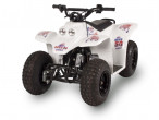 2020 SMC Buzz Electric
