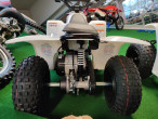 2020 SMC Buzz Electric