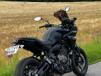 2020 Yamaha Tracer 700 2020 Yamaha Tracer 700