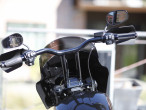 2021 Harley-Davidson FXBBS Street Bob