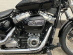 2021 Harley-Davidson FXST Softail Standard