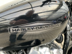 2021 Harley-Davidson FXST Softail Standard