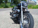 2021 Harley-Davidson FXST Softail Standard 2021 Harley-Davidson FXST Softail Standard