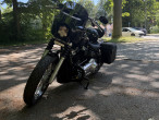 2021 Harley-Davidson FXST Softail Standard