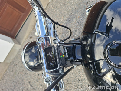 Harley-Davidson FXST Softail Standard