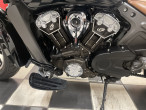 2021 Indian Scout