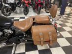 2021 Indian Scout