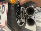 2021 Indian Scout