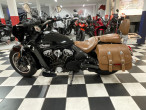 2021 Indian Scout