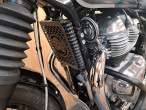 2021 Royal Enfield Bear 650