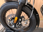 2021 Royal Enfield Bear 650