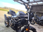 2021 Suzuki SV 650