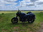 2021 Triumph Trident 660