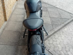 2021 Triumph Trident