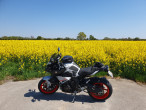 2021 Yamaha MT-10