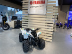 2021 Yamaha YFZ 50 2021 Yamaha YFZ 50