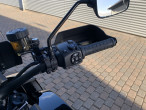2022 Harley-Davidson RA1250 Pan America Special