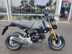 2022 Honda MSX 125