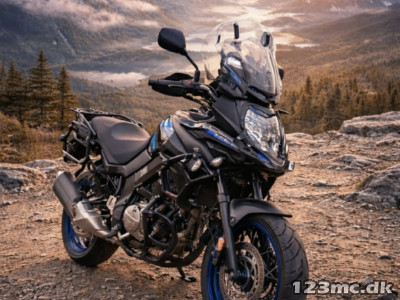 Suzuki DL 650 XT V-Strom