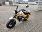 2023 Honda Monkey 125