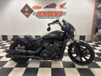 Indian Scout Rogue