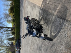 2023 Kawasaki Z 900