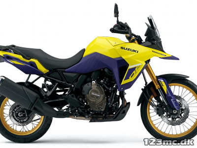 Suzuki DL 800 DE V-Strom