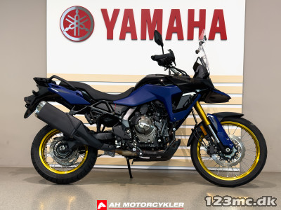 Suzuki DL 800 DE V-Strom