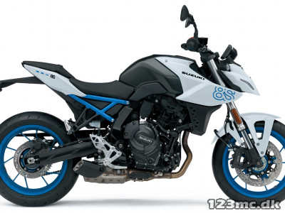 Suzuki GSX-8S