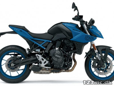 Suzuki GSX-8S