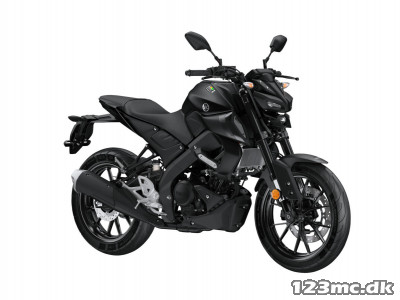 Yamaha MT-01