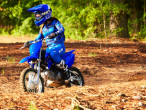2023 Yamaha TTR 110