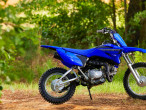 2023 Yamaha TTR 110